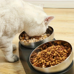 Raised Dog Cat Food Bowl 304 Stainless Steel, Elevated Pet Food And Water Bowl Dishes, Elevated Cat Bowls, Non-Slip Tilted Cat Bowl No Spill