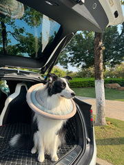 Adjustable Anti-licking Dog Collar, Soft Protective Elizabethan Cone for Healing, Comfortable Bite-Resistant Medical Recovery E-Collar for Canine Post-Surgery and Wound Care