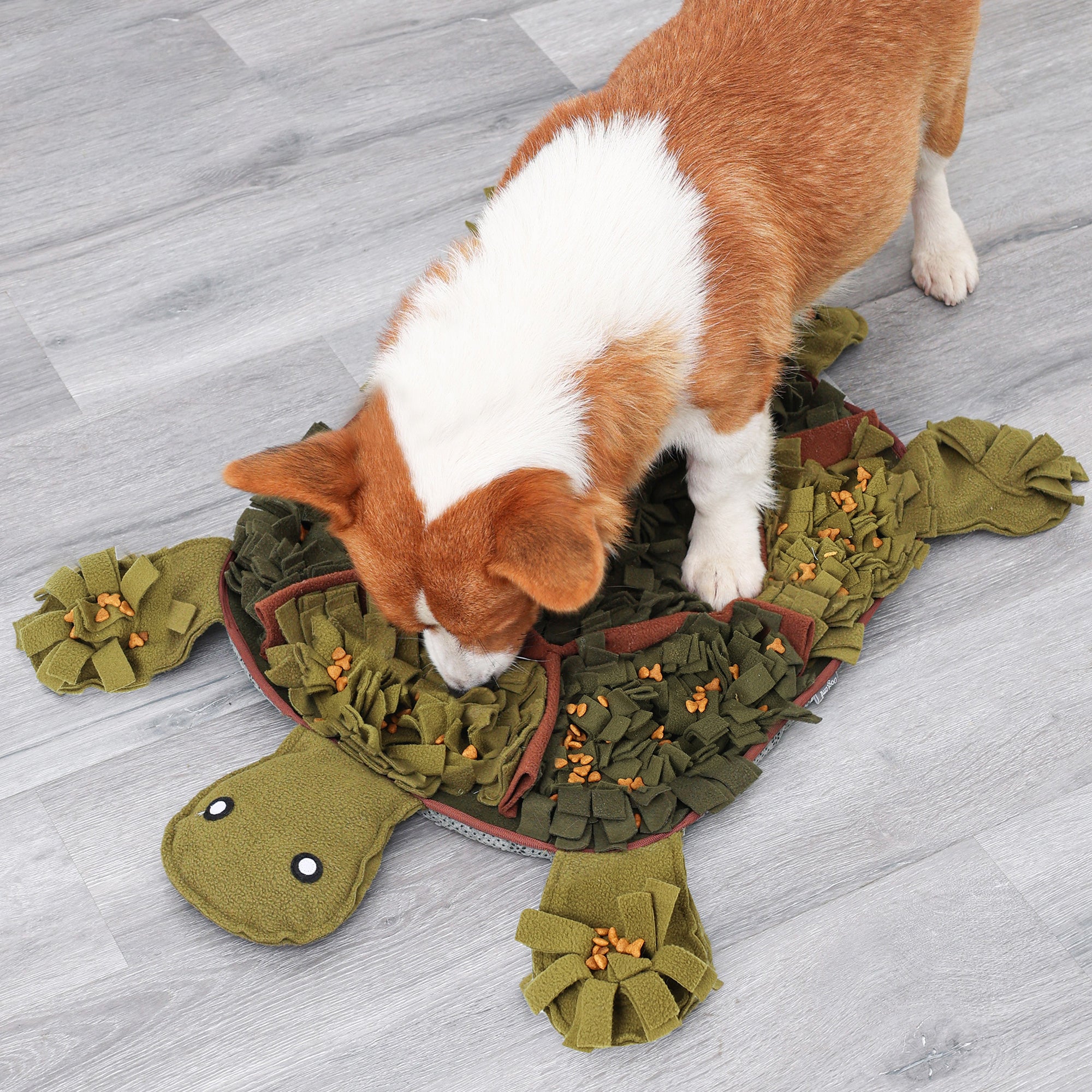 Dog Scent Detection and Food Hiding Training Blanket